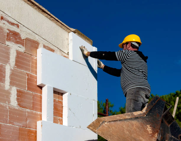 Best Commercial Insulation in Waldo, AR