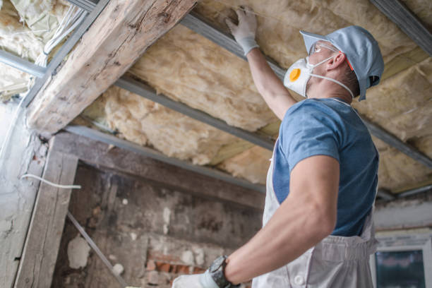 Best Residential Insulation in Waldo, AR