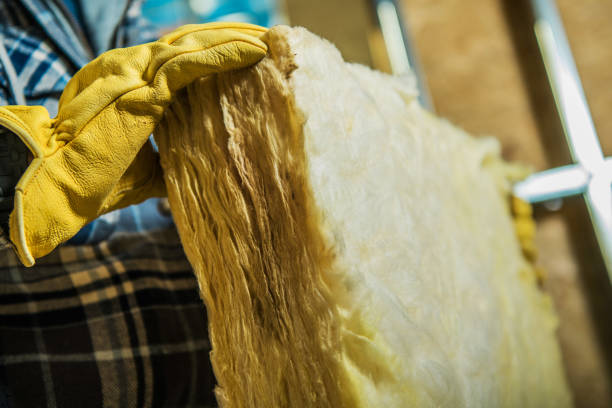 Best Insulation Maintenance and Repair in Waldo, AR