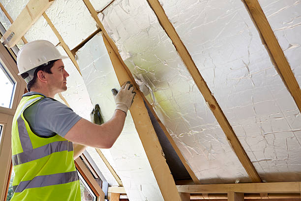 Best Commercial Insulation in Waldo, AR